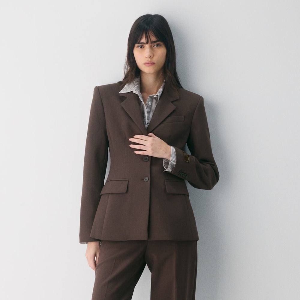 Aritzia Babaton Standout Blazer in Rich Mocha Brown